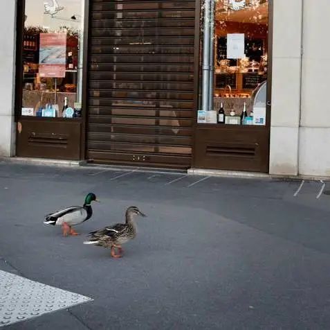 好莱坞拍了隔离期间的《史密斯夫妇》,他们盯上了全球顶奢百货里价值2700万的钻石