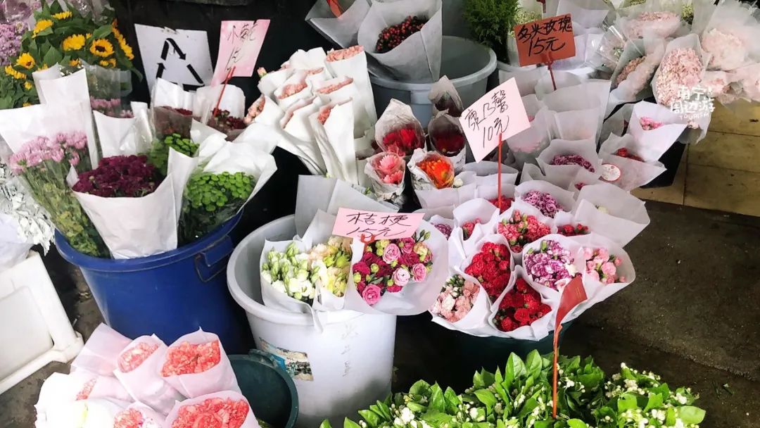 南宁赏花2022,赏花攻略南宁