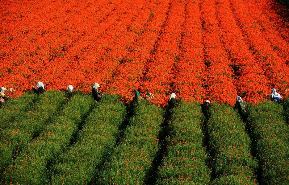 鍙や粖杈夋槧瀹屾暣瑙嗛,鍙や粖浜ょ浉杈夋槧