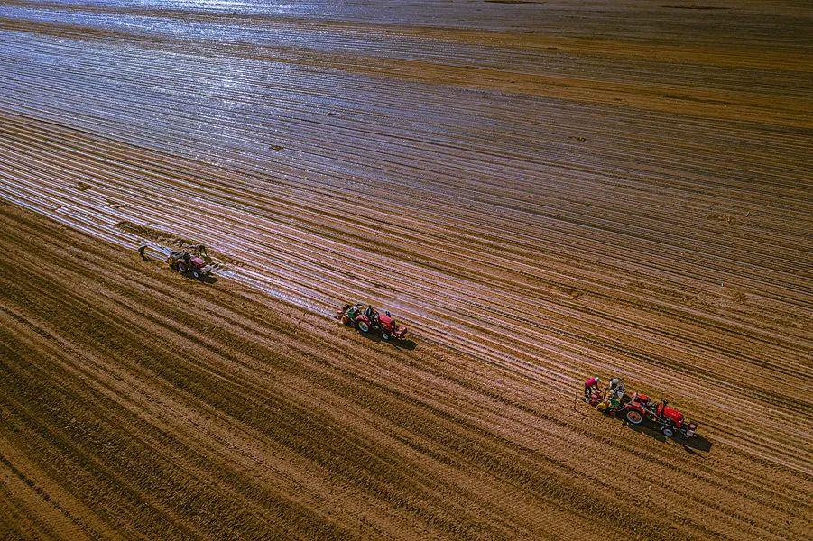 鍙や粖杈夋槧瀹屾暣瑙嗛,鍙や粖浜ょ浉杈夋槧