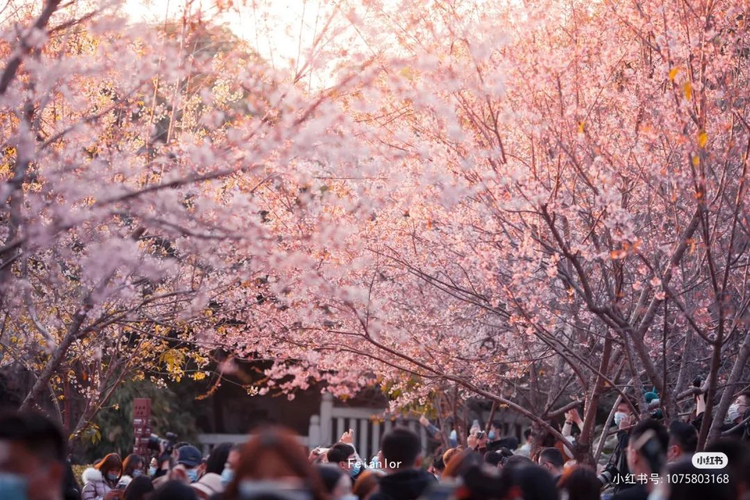 泉州十大最值得去的景点排名,泉州最值得去的十大旅游景点