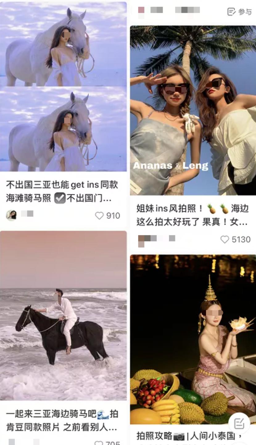 一马难求！网红在逃公主风把马都拍涨价了