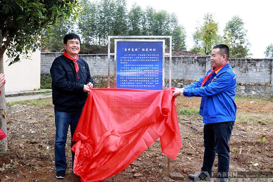 贵南高铁南宁东至荔波,贵南高铁广西段公网覆盖施工