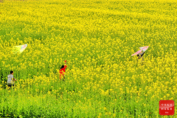 春之韵诗词原创,春之韵诗词10首