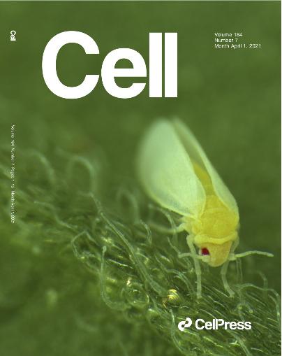 中国农业大学昆虫学,农业昆虫学文献