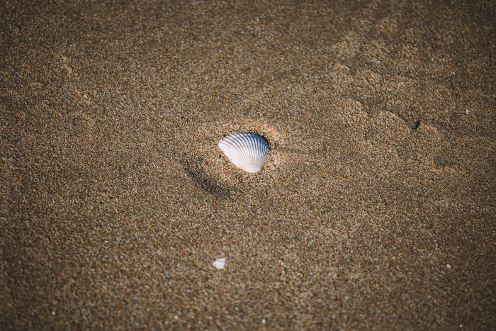 佳能全画幅微单rf系列镜头及价格,佳能eosr直播相机参数