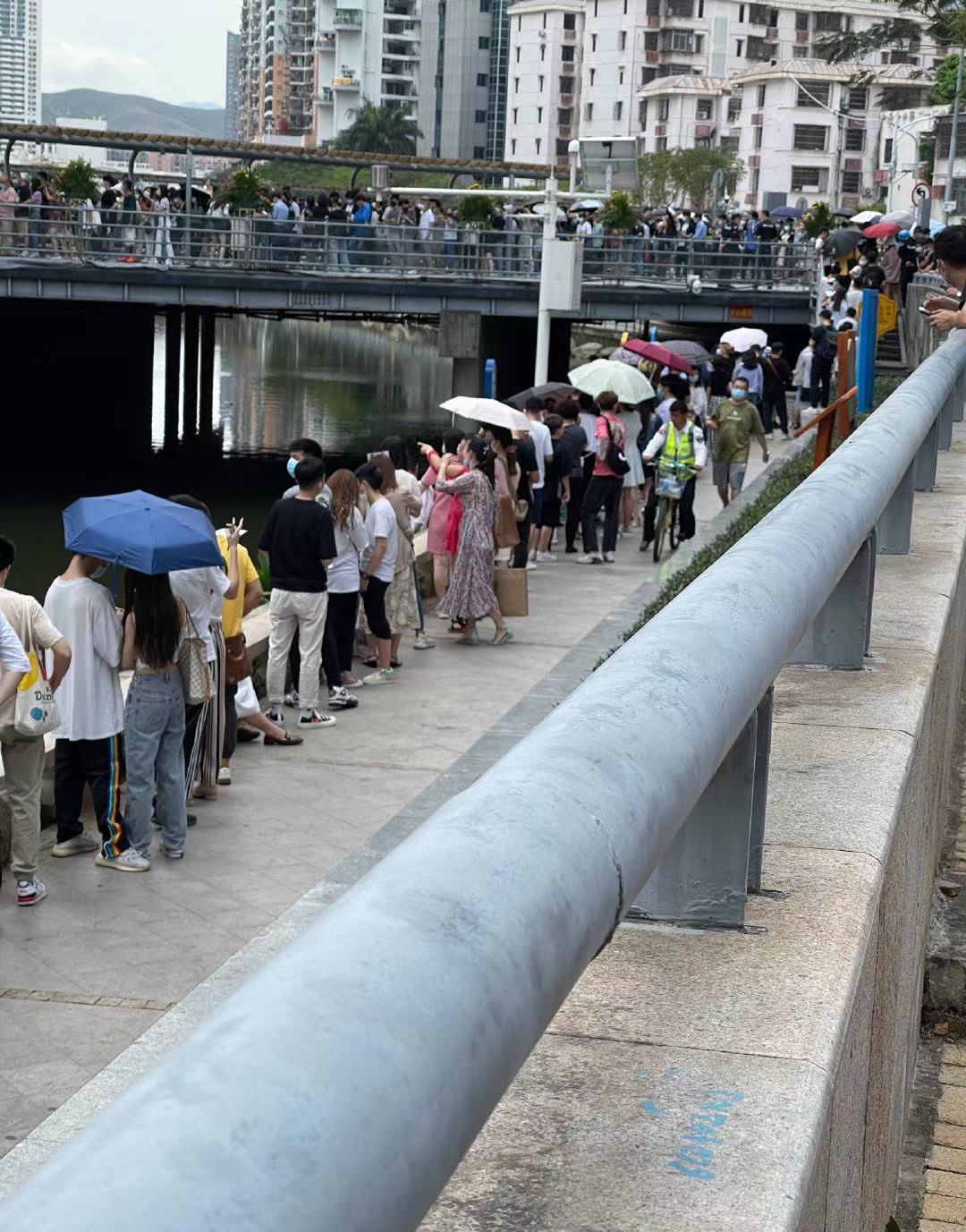 茶颜悦色奶茶排队8小时 (深圳第一家茶颜悦色奶茶店)