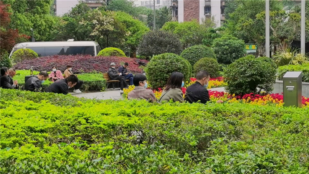 蜱虫疾病高发期省医院专家：被咬要尽快就医