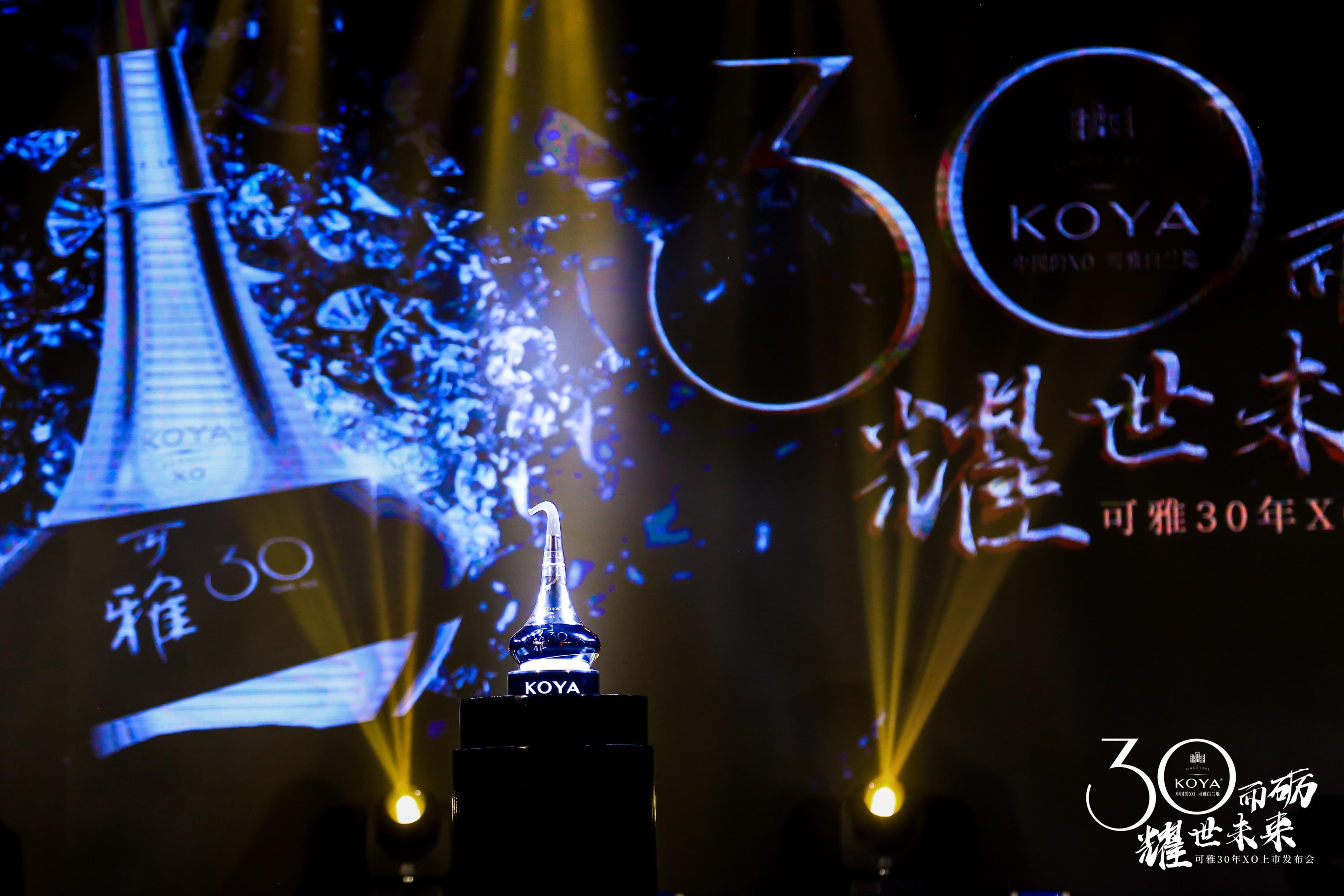 可雅白兰地10年价格,可雅白兰地6年