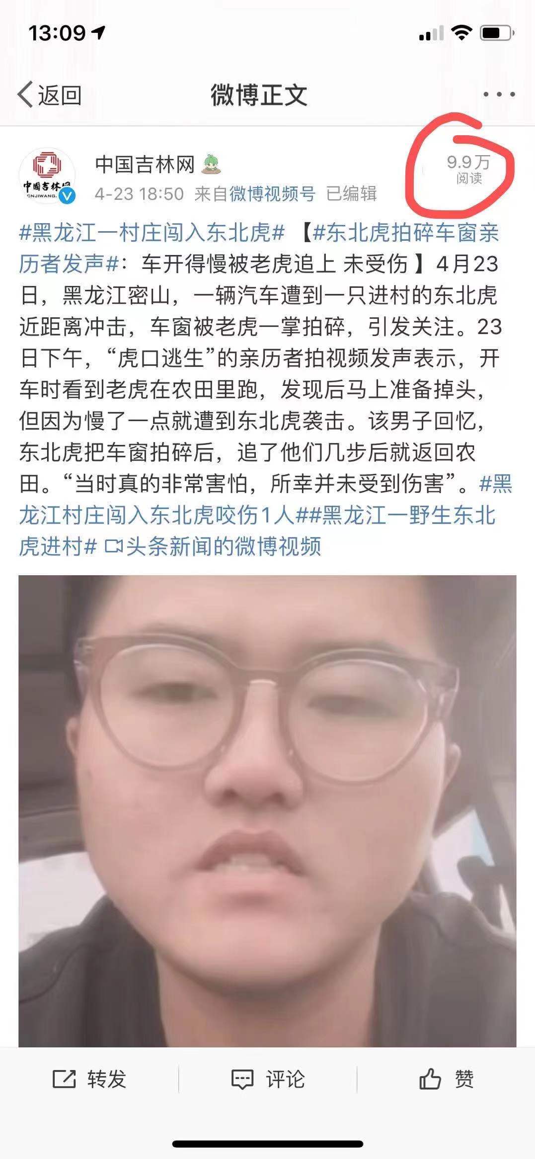 老虎进村真实现象,专家谈老虎进村