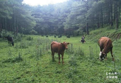 保山旅游攻略一日游景点,保山市旅游攻略一日游景点推荐