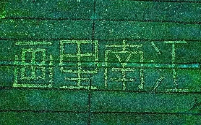 义乌美食及景点,义乌一日游必打卡美食