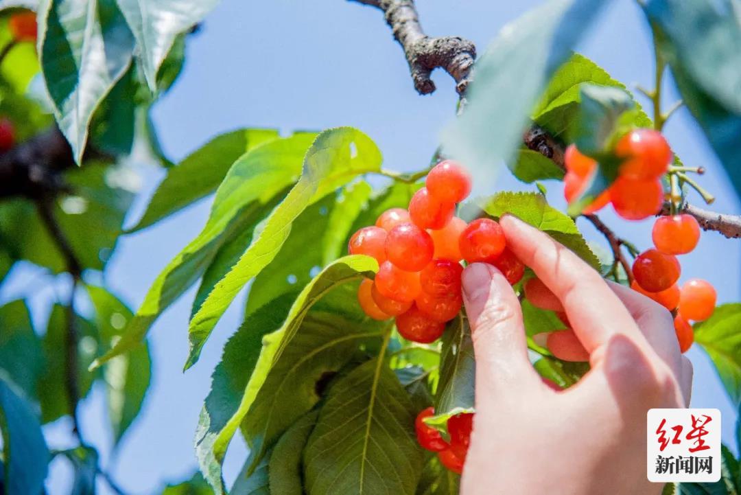 蒲江周边一小时玩耍地方,成都蒲江附近游玩的地方推荐