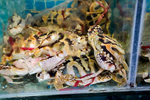 如何在三亚玩一天,三亚一个月的攻略