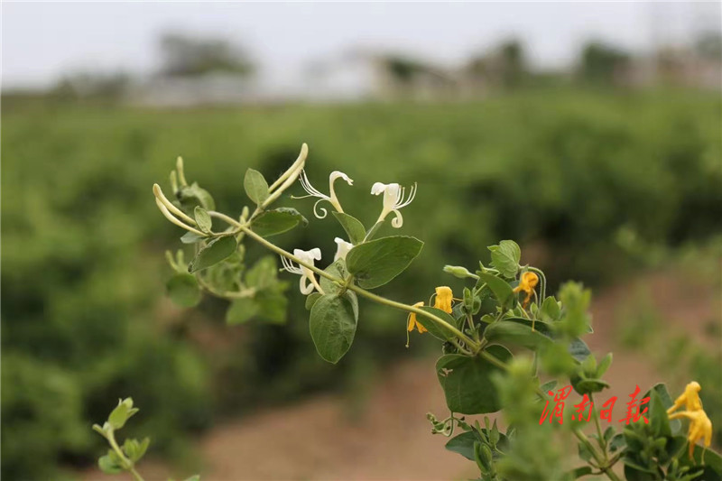 奋斗百年路启航开新局,奋斗百年路启航新征程主要内容