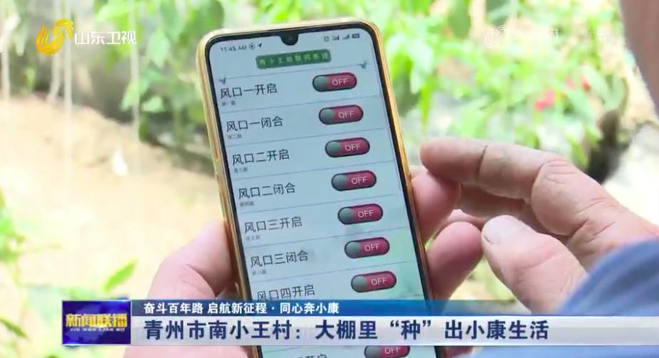 小王庄种植大棚,青州市南小王村