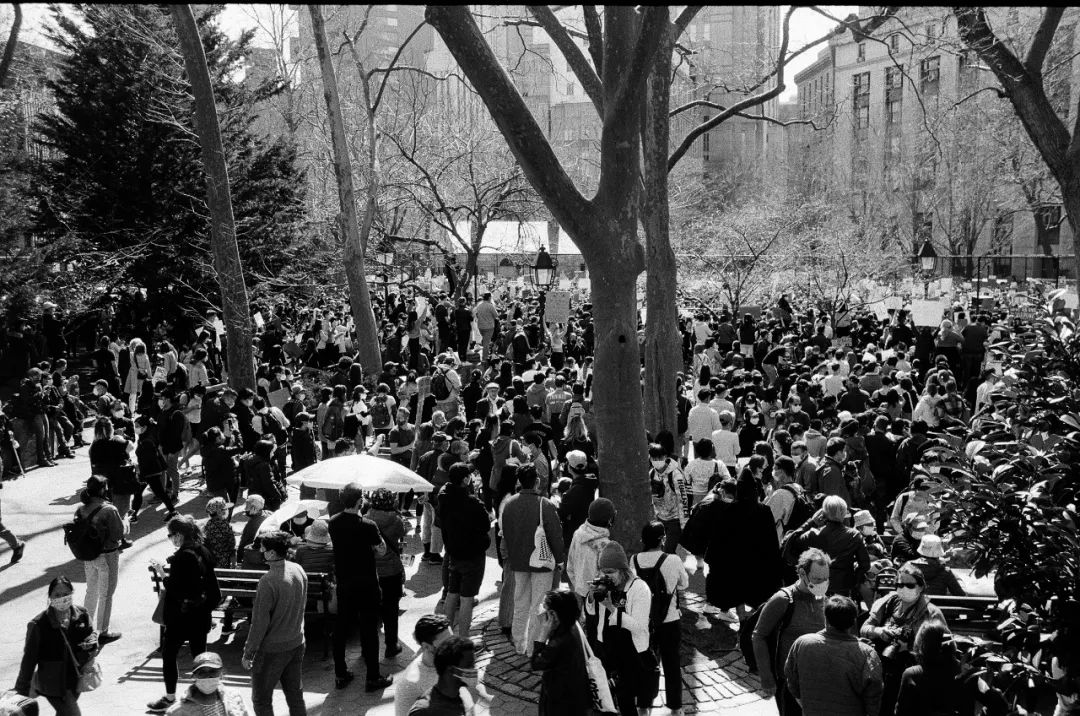 风暴中的唐人街|封面人物