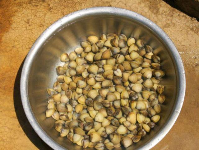 杈藉畞涓夊疂鐗逛骇澶у叏,杈芥渤涓夊疂