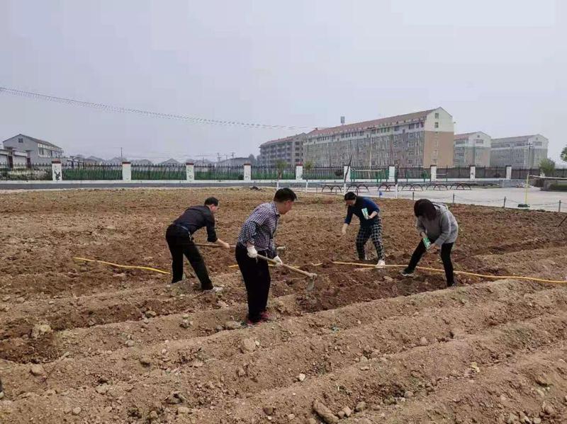 打造中国最美乡村,打造最美乡镇