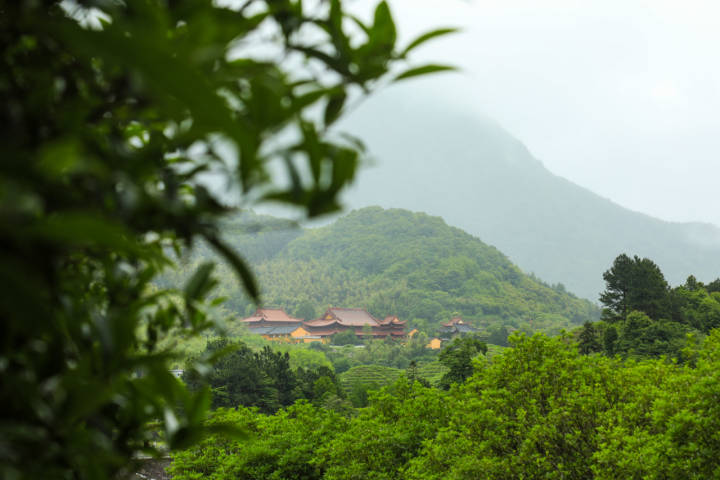 专业摄影师驾到,摄影师驾到统统闪开