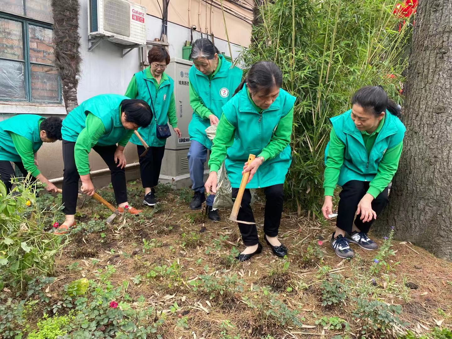 改进绿化美化小区环境,上海旧小区改造翻新