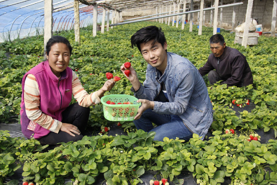 *疆新**和静：“村村有优品”全力助推乡村产业振兴