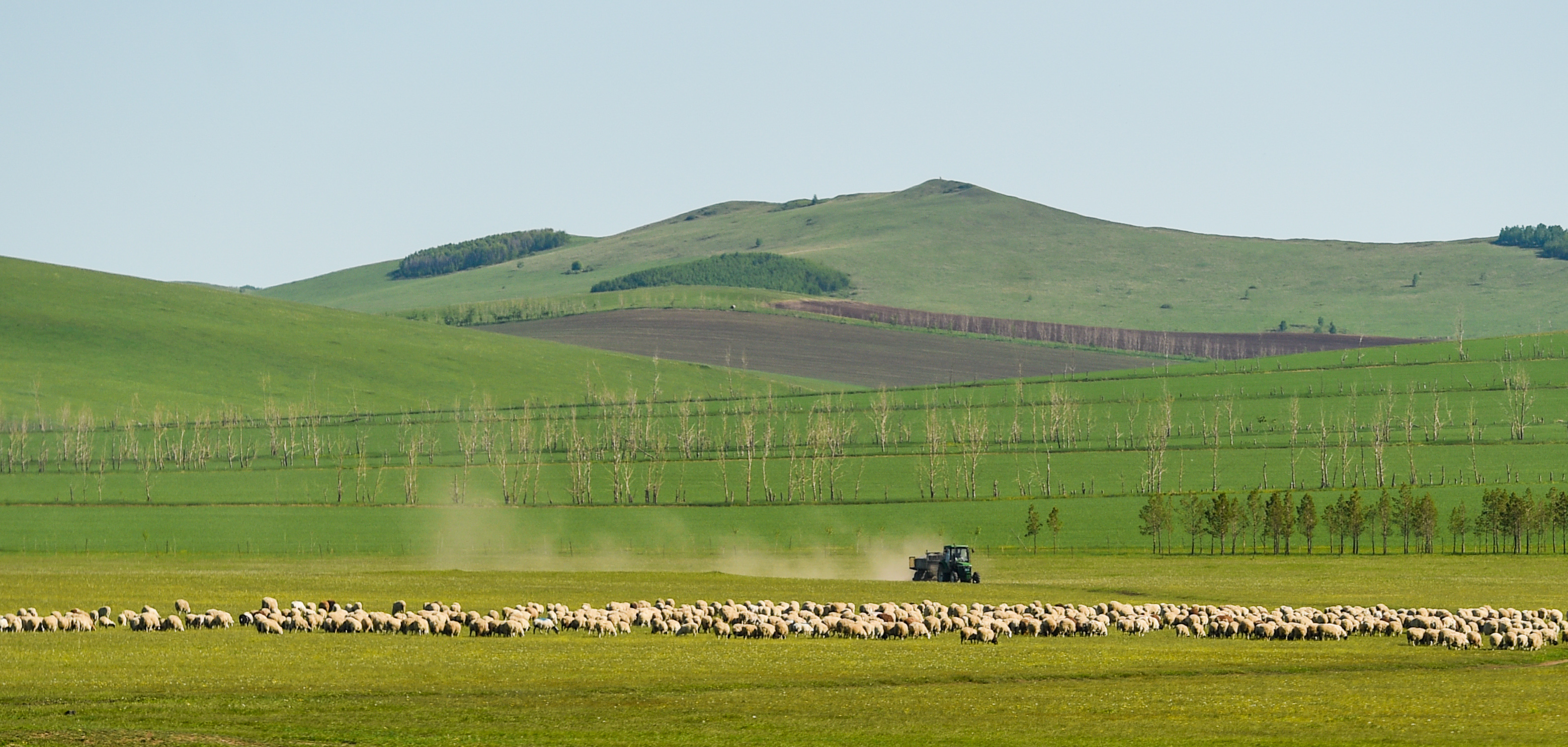 呼伦贝尔大草原服装视频,草原呼伦贝尔穿搭