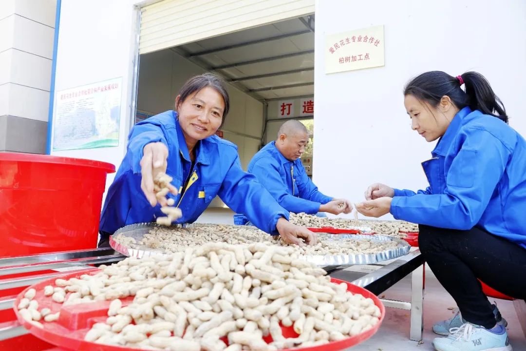 聚力产业振兴实现华丽蝶变,凝心聚力谋发展砥砺奋进创佳绩