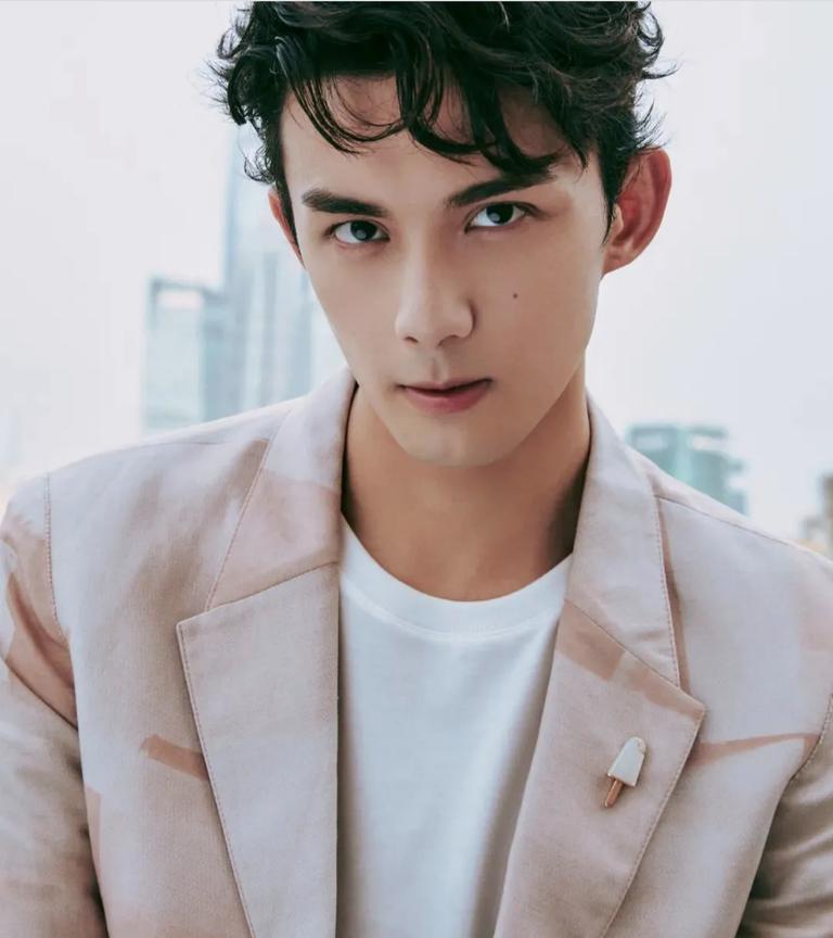 整容失败的男星们,娱乐圈整容艺人