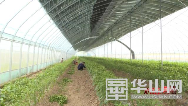 支部书记谈党建说变化访谈稿,百名基层党支部书记谈高质量发展