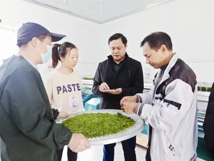 马山县:“三牛”精神勇当先精耕为民“责任田”