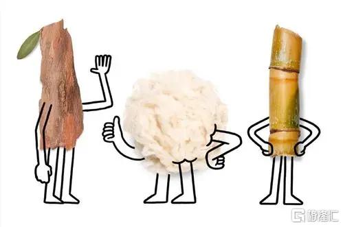 吃斋念佛的硅谷大佬集体恋上网红鞋