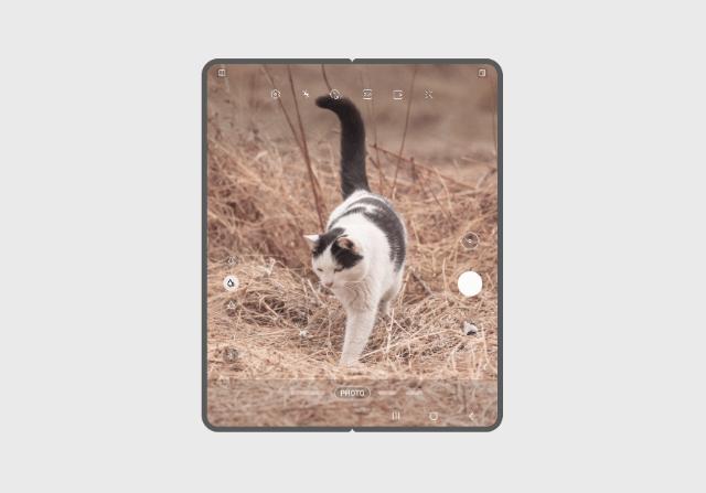 苹果折叠屏概念手机,苹果折叠屏手机前景