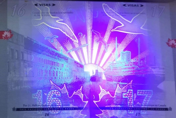 2023年全球最强护照排行榜揭晓,2022全球最强护照排名