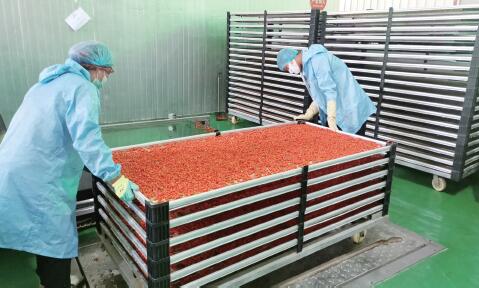 宁夏红资料,参观宁夏红色革命纪念馆