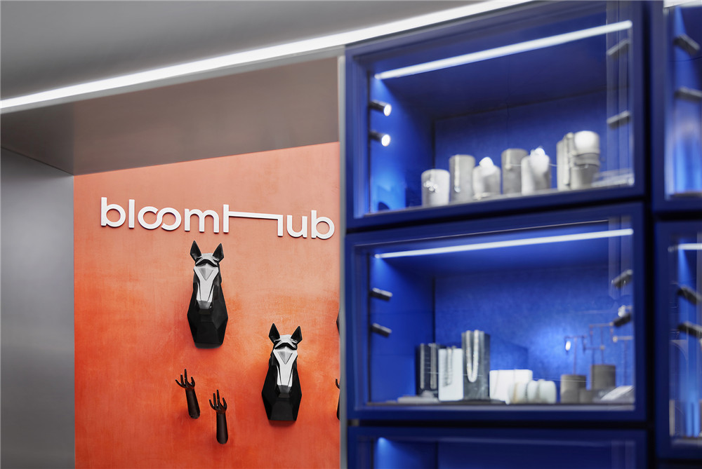 DESFAGROUP|bloomhub饰品买手店