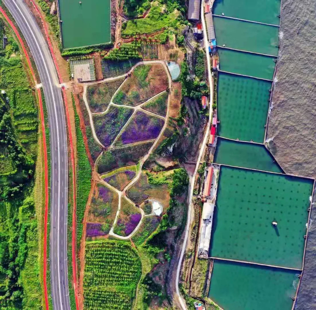 蓬莱的绿色大海,蓬莱的海滨路