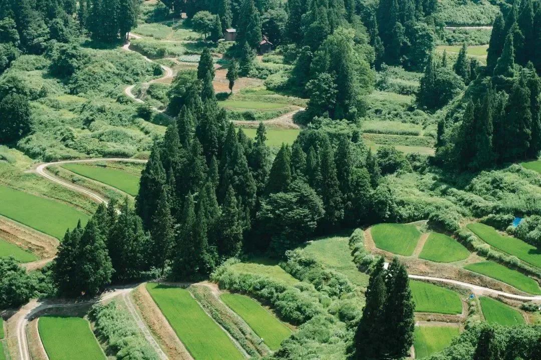 公共艺术的核心观念,哪些算是公共艺术