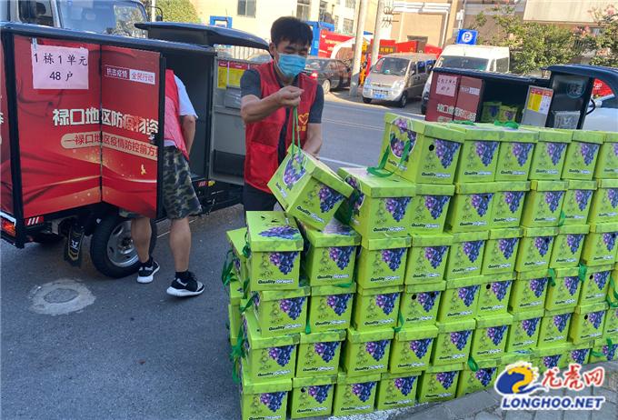 疫情期间志愿者助农,志愿者助力疫情防控乡镇