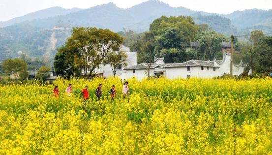 不出福州一日游去哪,不出福建省好玩的旅游景点