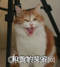 orcsmustdie3无尽模式,兽人必须死3值得玩吗