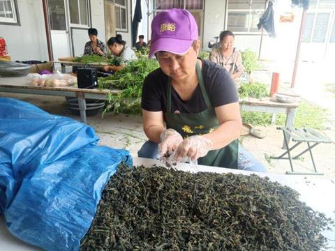 多措并举稳就业增收,坚持人民至上群众福祉持续增进