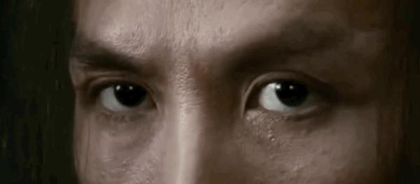 张晋甄子丹头号英雄,甄子丹张晋再度合作