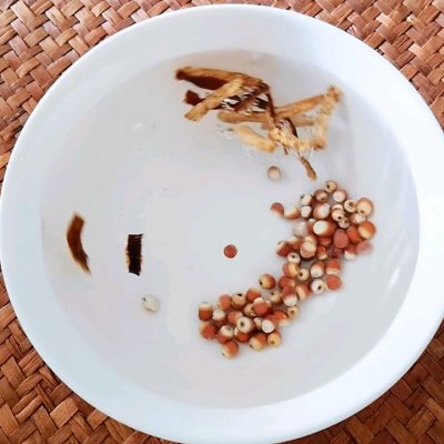 菜干冬瓜老鸭汤,神仙老鸭汤各种做法