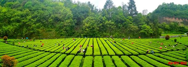 沅陵大湾区招商引资,沅陵县工业园区发展