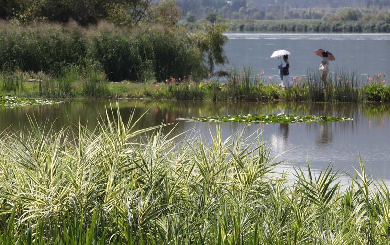 国庆亲子旅游景点推荐昆明,国庆旅游景点推荐昆明周边