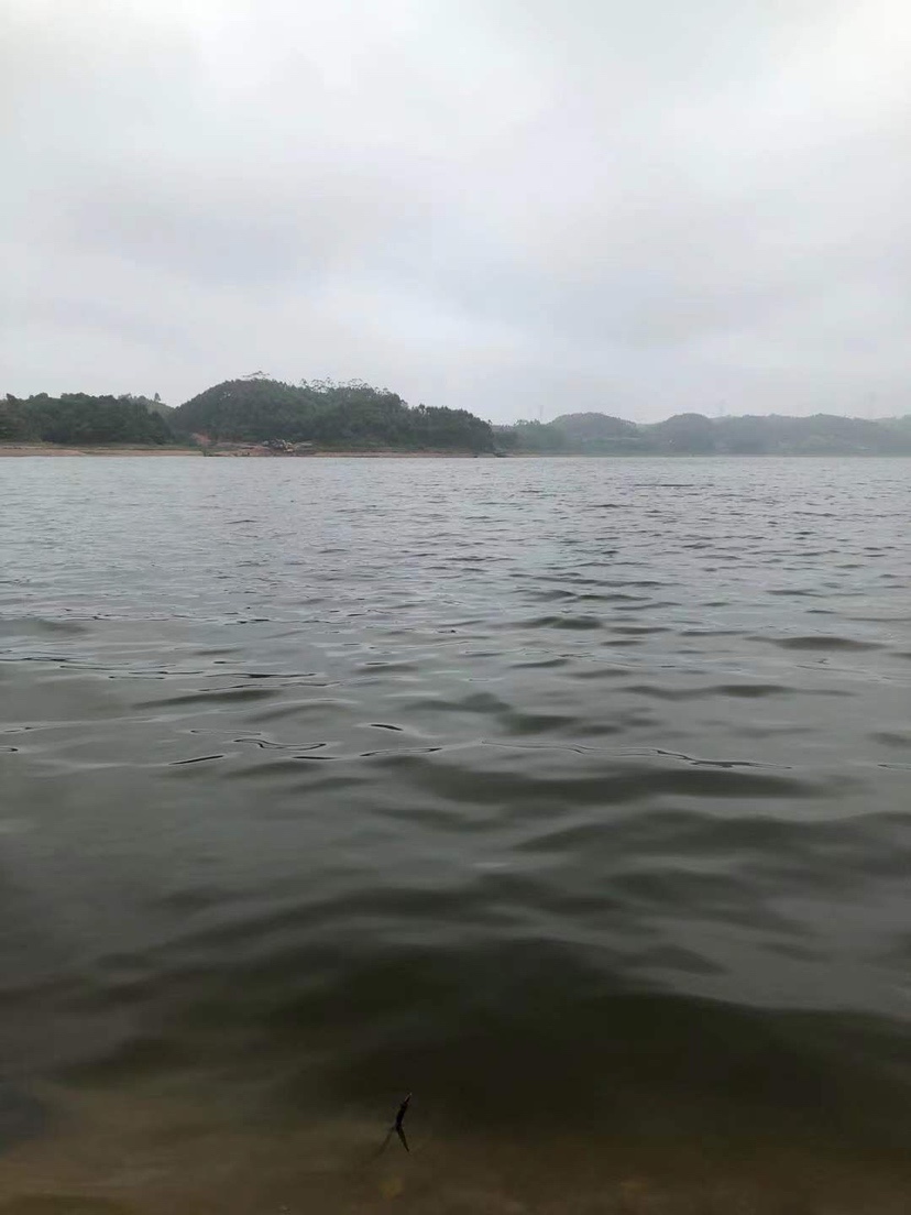 姐姐转战多个水库，鲮鱼爆护，豆豉鲮鱼不吃却拉回一麻袋有毒木薯