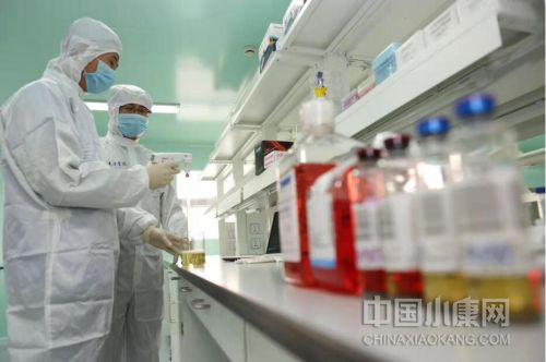 为中华振兴贡献力量,为推动中华文明复兴贡献青春力量