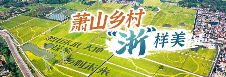 萧山欢潭村旅游攻略,杭州萧山古韵欢潭景区古村落