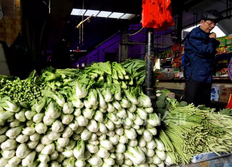 柳州现在什么青菜便宜,柳州青菜贵